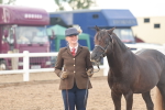 Class 29 - IH Veteran Pony portfolio