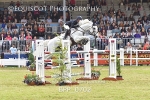 RHS Lucky Dip 2019 portfolio