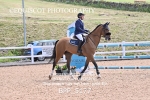 BPP_5177