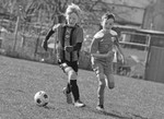 IMG_06162
