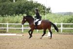 SBM_000461