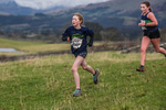 Cunswick U13-238
