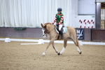 SBM_001238