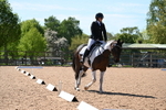 WJ6_8680