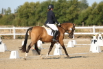 SBM_012604