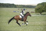 BVHT 140517  NXC -7