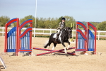 SBM_006911