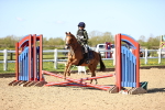 SBM_000529