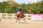 SBM_011823