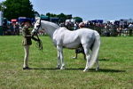 SBM_03890