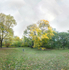 October 2019 - Arnold Arboretum, Boston - Title: Tree Play