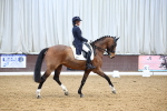 SBM_008867