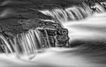 Swale Torrent Detail
