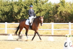 SBM_016531