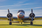 Anson portfolio