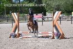 BPP_6981