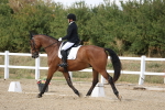 SBM_014763