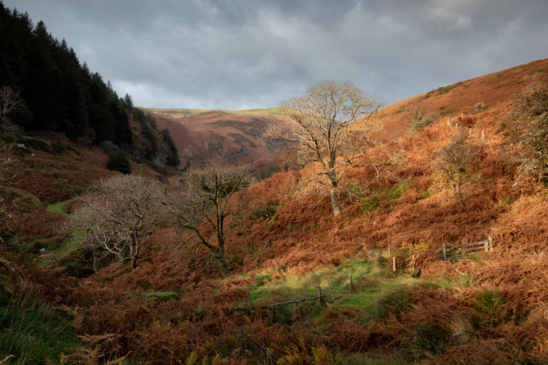 Gateway to the Glen