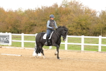 SBM_000973
