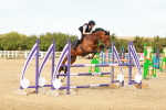SBM_003666