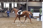 BPP_3013