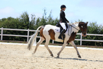 Class 7: Unaffiliated Novice 3 2024 Section B portfolio