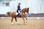 SBM_008960