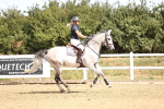 SBM_000431