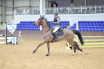 SBM_009445