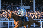 251025-Race 6-Leave Of Absence-9910