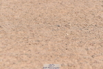 230720A-091244-01320