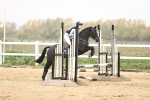 SBM_001583