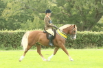 SBM_75339