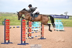 Cls 5 Snr Foxhunter and 1.20m Open portfolio