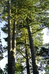 Buchan Park - 19