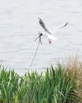 20140421-3K8A0485