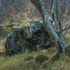 ERRATIC - LOCH MAREE, SCOTLAND