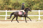 SBM_007214