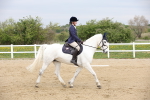 SBM_007241
