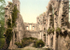 Glastonbury Abbey 2