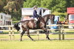 SBM_12330