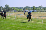 150726-Race 3-Lady Dublin-3168