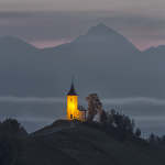 Jamnik Twilight.