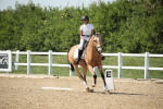 SBM_009981