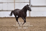 BPP_2897