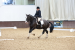 SBM_010981