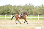 SBM_002493