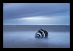 Mary's Shell
