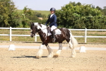 SBM_003750