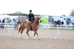 SBM_11215